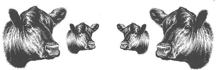 749x241 Angus Clip Art