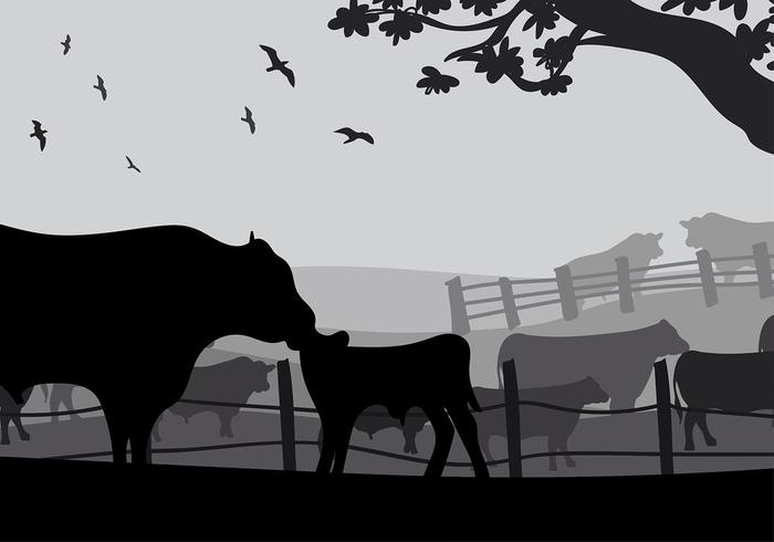 700x490 Angus Cow Silhouette Free Vector