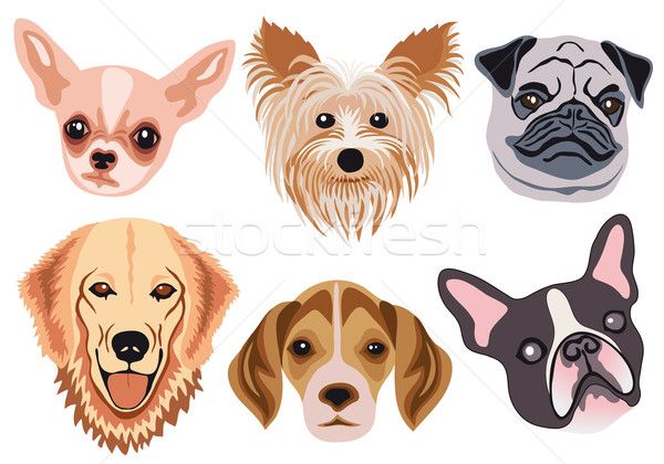 600x420 Image Result For Animal Face Vector Animal Silhouettes, Vectors