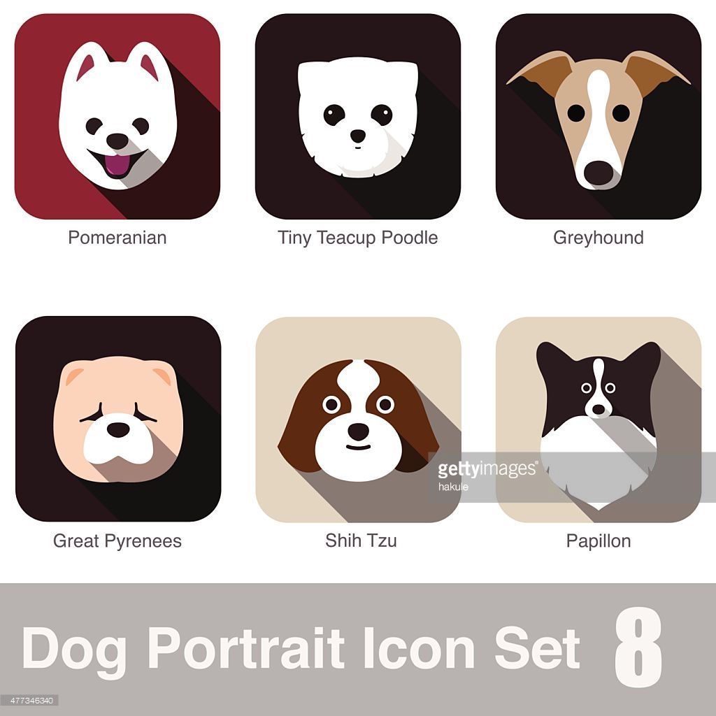 1024x1024 Image Result For Animal Face Vector Skarpetki