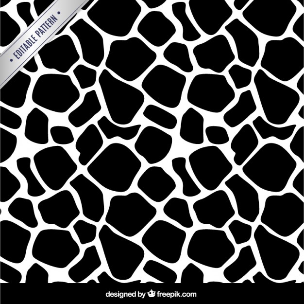 626x625 Animal Print Vector Free Download
