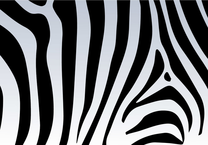700x490 Zebra Print Vector Background 116688