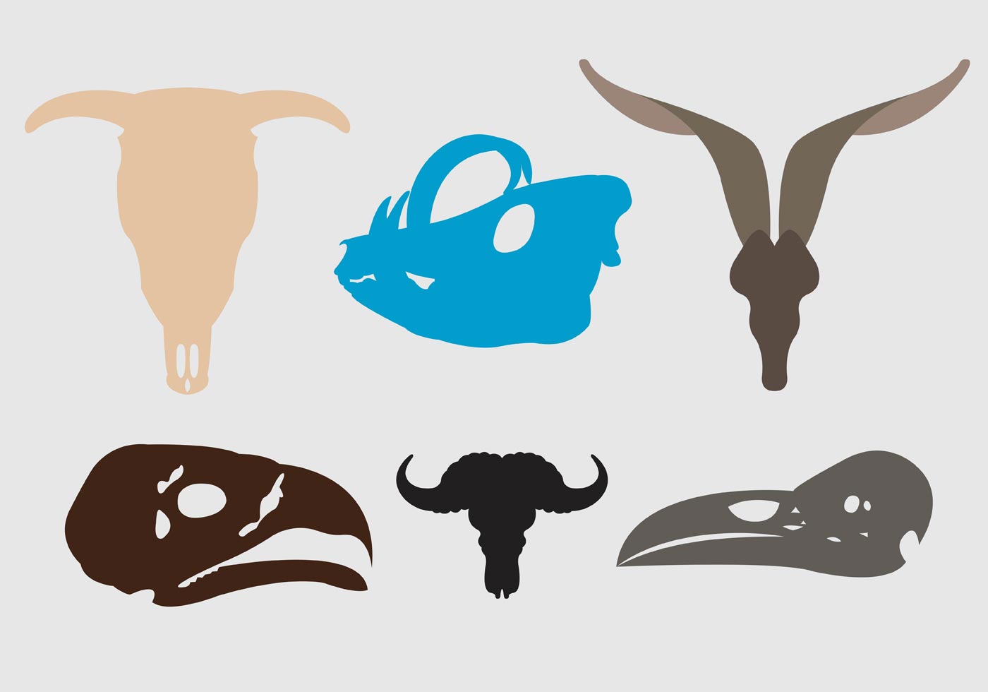 1400x980 Animal Skulls Free Vector Art