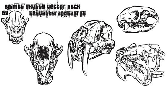 560x293 Animal Skulls Vector Pack Free Vector In Adobe Illustrator Ai