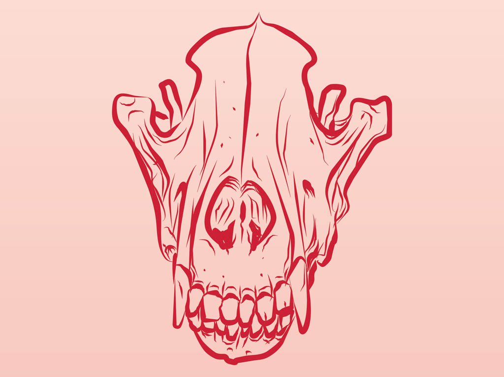 1024x765 Dead Animal Skull Vector Art Amp Graphics