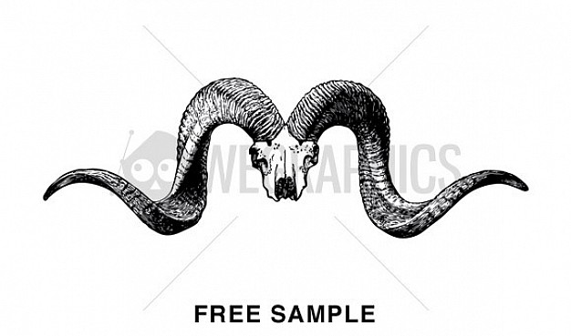 626x369 Download Vector