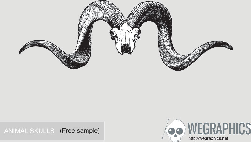 800x455 Skull Vector Graphics