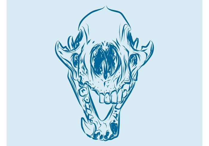 700x490 Animal Skull Graphics