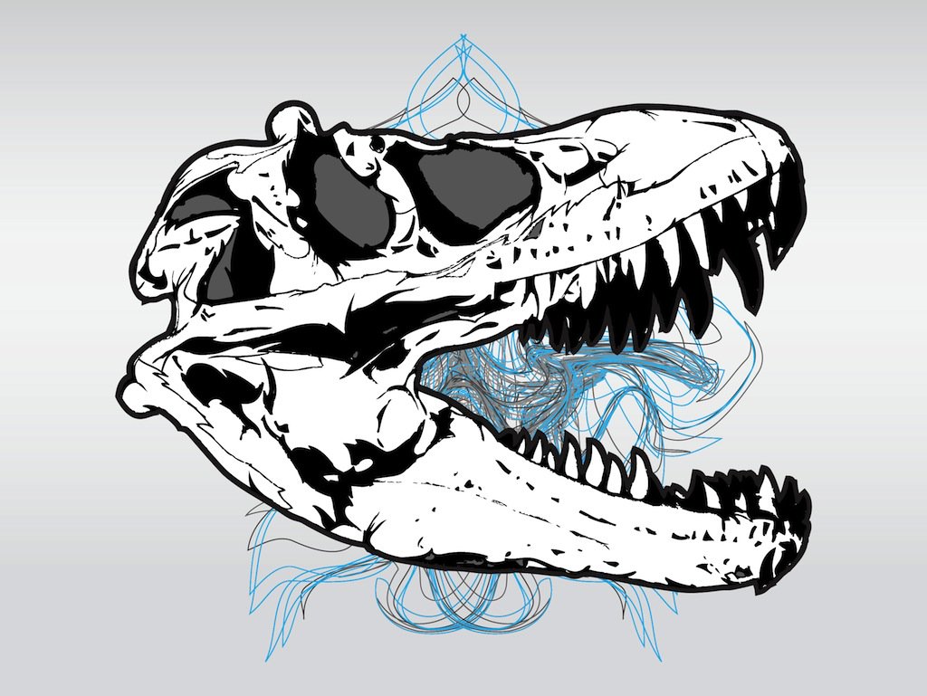 1024x769 Animal Skull Vector Art Amp Graphics