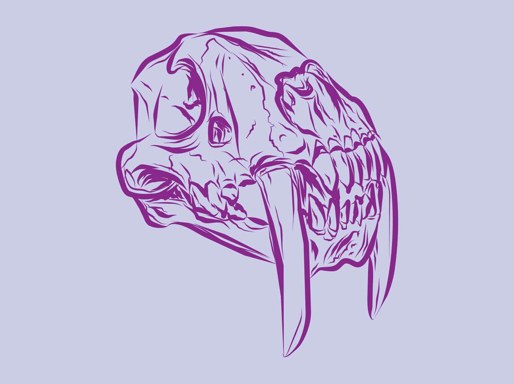 1024x765 Animal Skull Vector Vector Art Amp Graphics