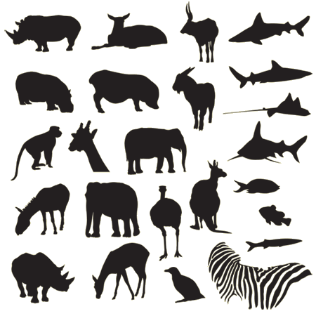 450x450 Animal Vectors