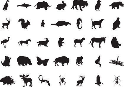 420x295 Wild Animal Clip Art Free Vector Download (217,168 Free Vector
