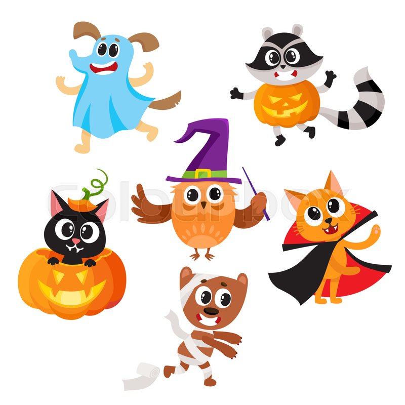 800x800 Set Of Cute Funny Animal Characters Dressed In Halloween Costumes