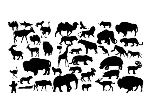 600x450 Animal Vectors