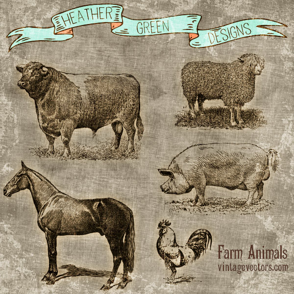 600x600 Animal Vector Art Vintage Vectors