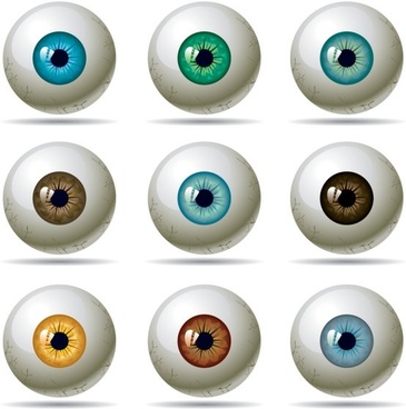 365x368 Anime Eyes Vector Free Vector Download (7,858 Free Vector) For