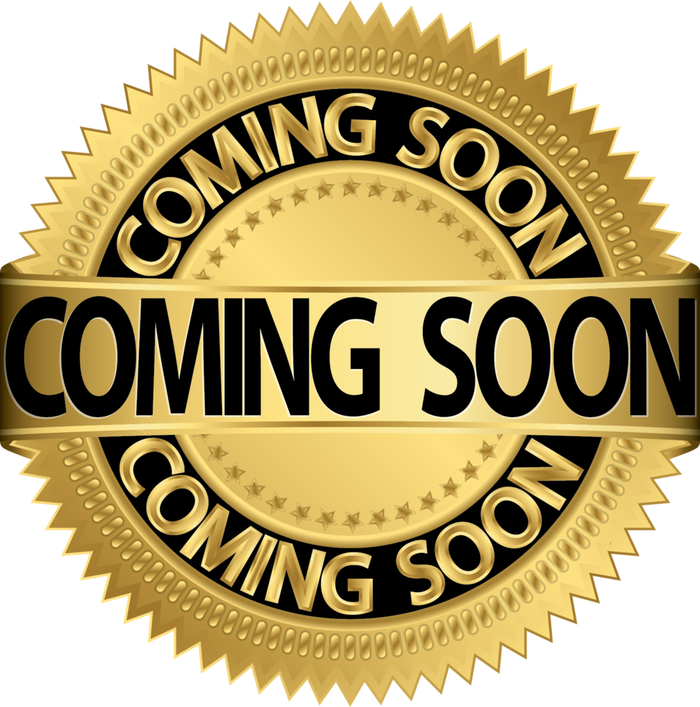 991x1000 19 Vector Seal Official Huge Freebie! Download For Powerpoint