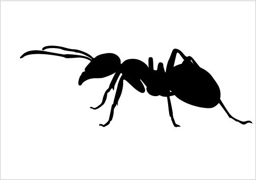 501x352 Ant Silhouette Vector Download Ant Vectors Silhouette Graphics