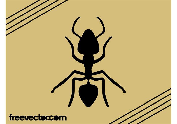 700x490 Ant Vector Graphics