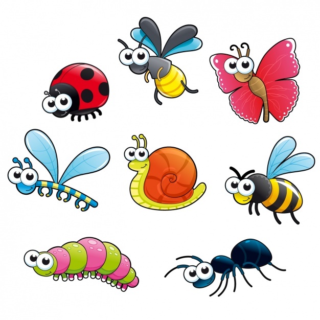 626x626 Ant Vectors, Photos And Psd Files Free Download