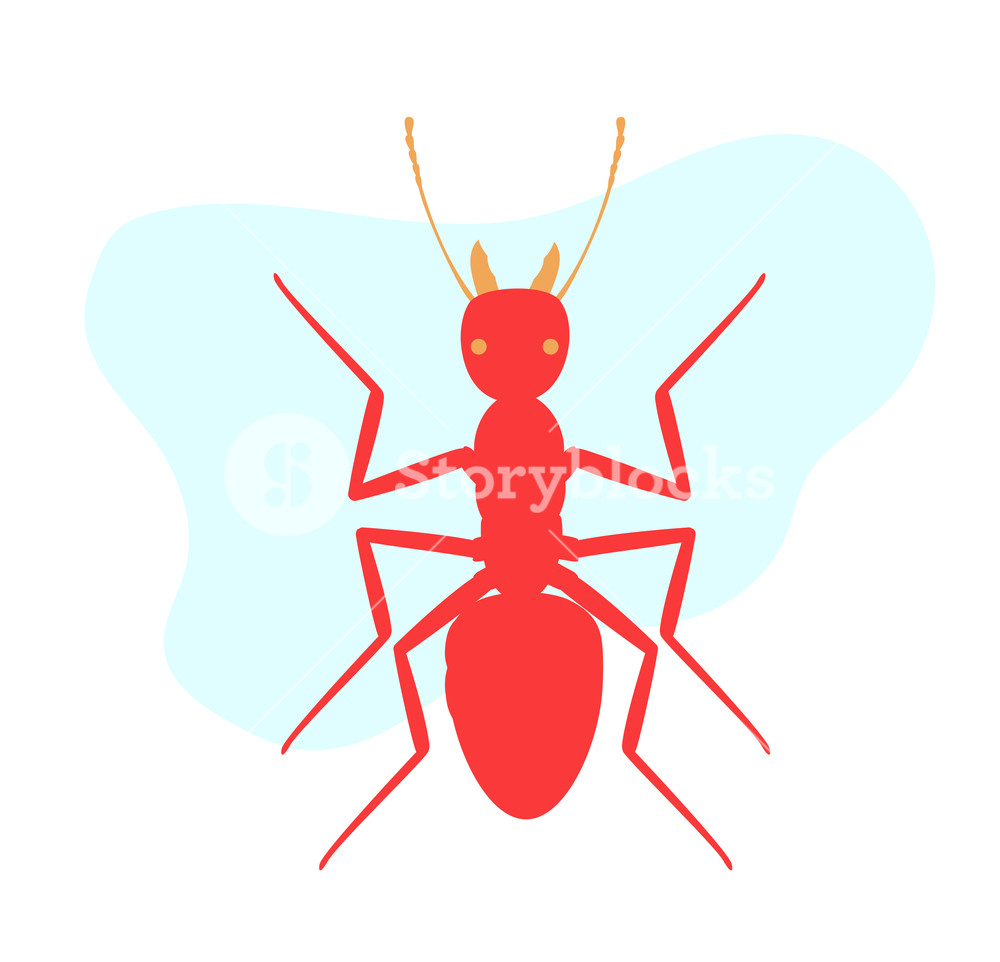 1000x962 Army Ant Vector Illustration Royalty Free Stock Image