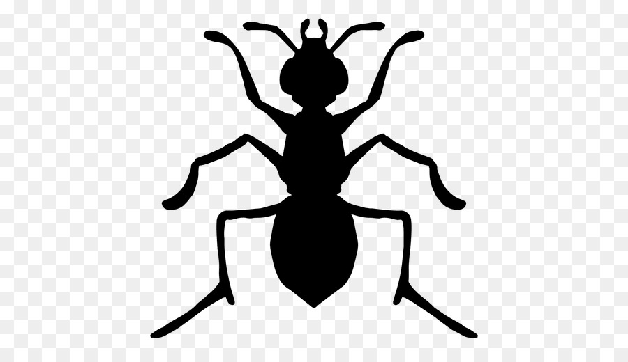 900x520 Triforce Silhouette Ant Insect