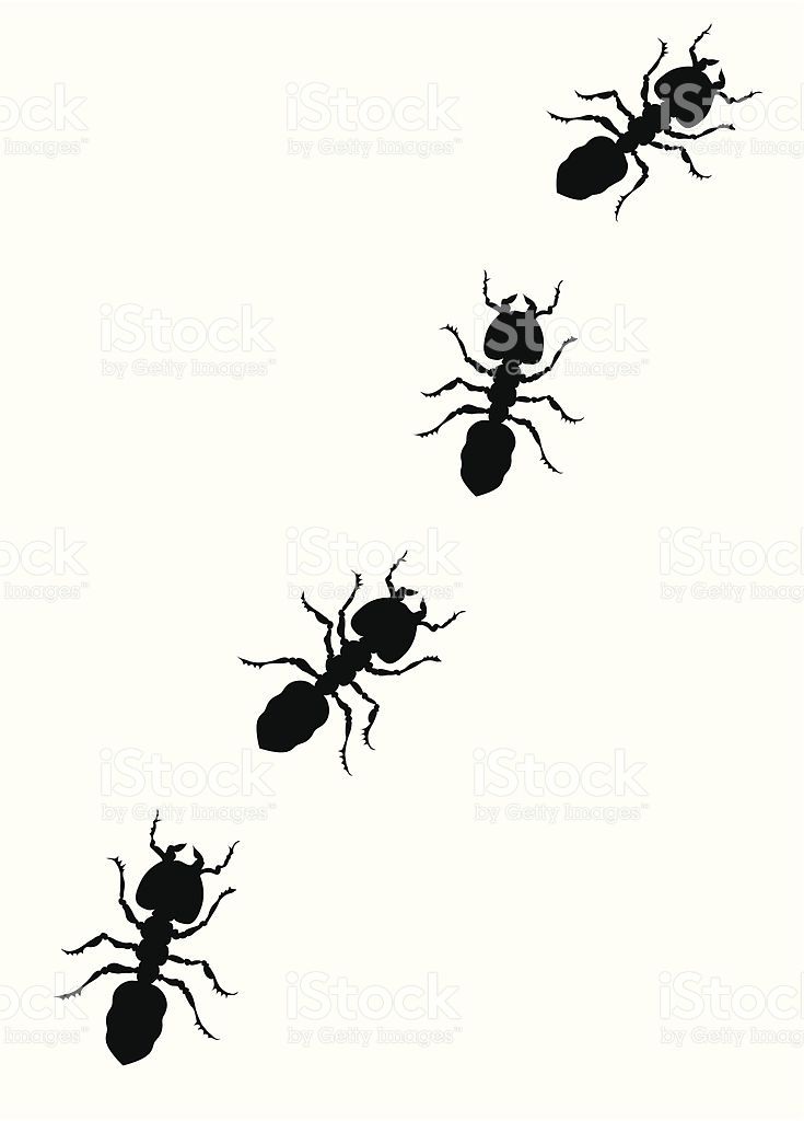 735x1024 An Illustration Of Our Crawling Ants. Vector. School Uniform