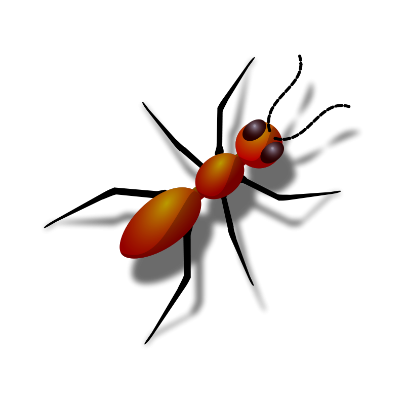 800x800 Ant Free Vector 4vector