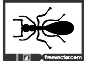 286x200 Ant Free Vector Art