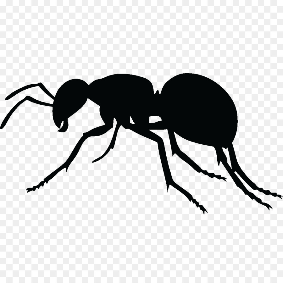 900x900 Ant Royalty Free Clip Art