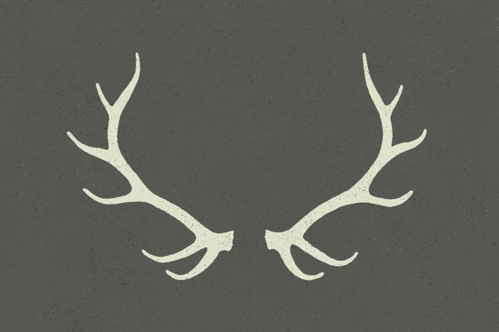 1023x681 Antlers By Hand Ghostlypixels