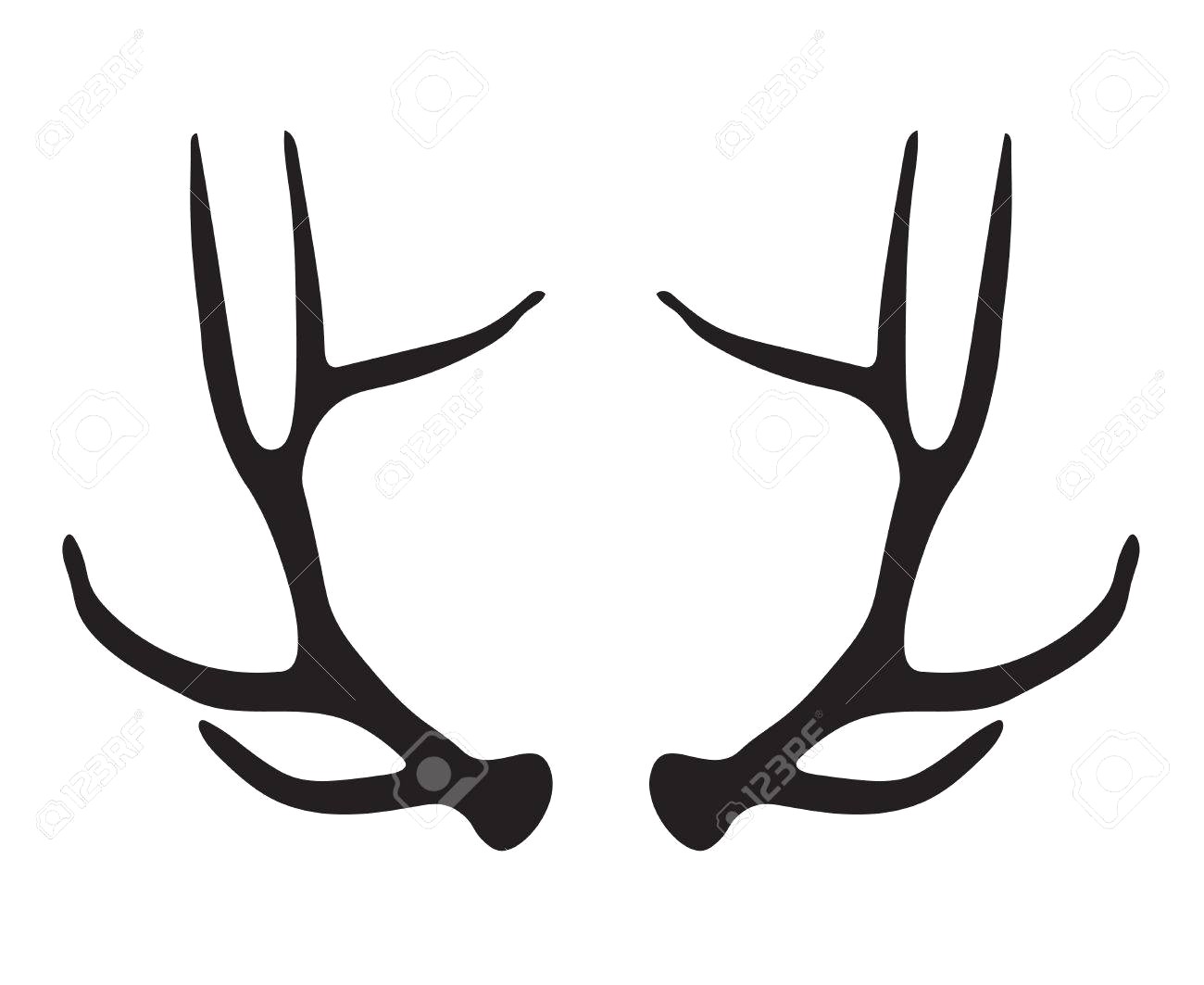 1300x1063 83603254 Black Silhouette Of Deer Antlers Vector Illustration 12