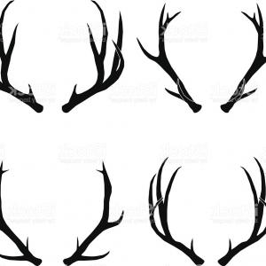 300x300 Vector Deer Antlers Collection Gm Sohadacouri