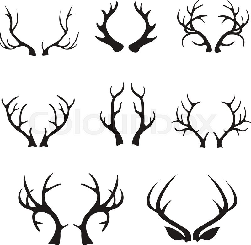 800x779 Vector Deer Antlers Silhouette Isolated On White. Set Of Different