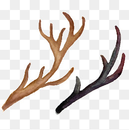 260x261 Watercolor Antler Png, Vectors, Psd, And Clipart For Free Download