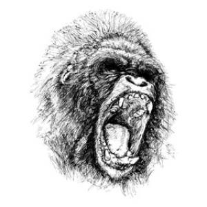 300x300 Free Vectors Vector Ape Illustration Chadlonius