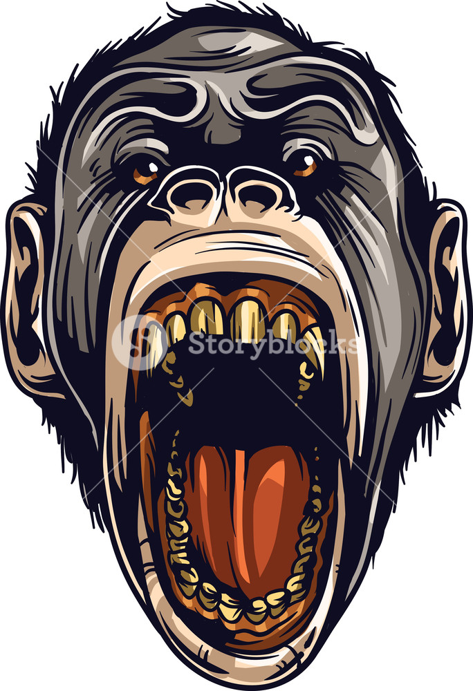684x1000 Vector Ape Royalty Free Stock Image