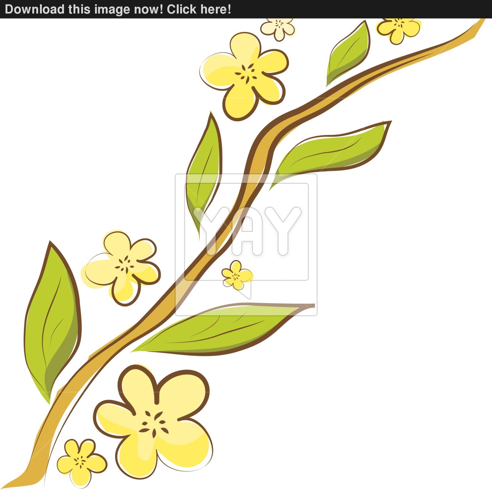 1600x1594 Apple Blossom. Vector Branch Vector