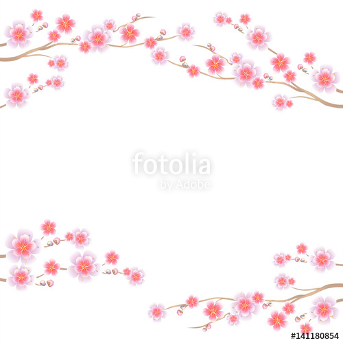 500x500 Branches Of Sakura Isolated On White Background. Apple Tree