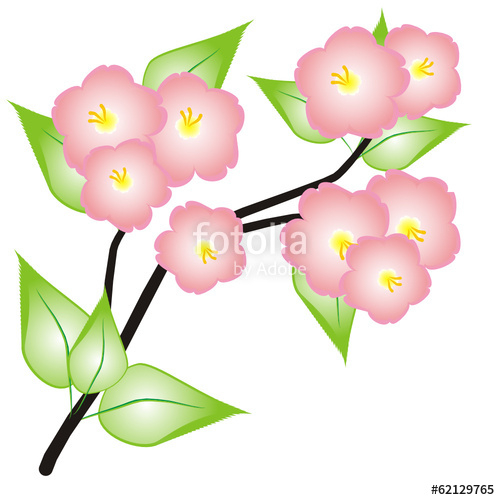 500x500 Apple Blossom Vector Drawing Stock Image And Royalty Free Vector