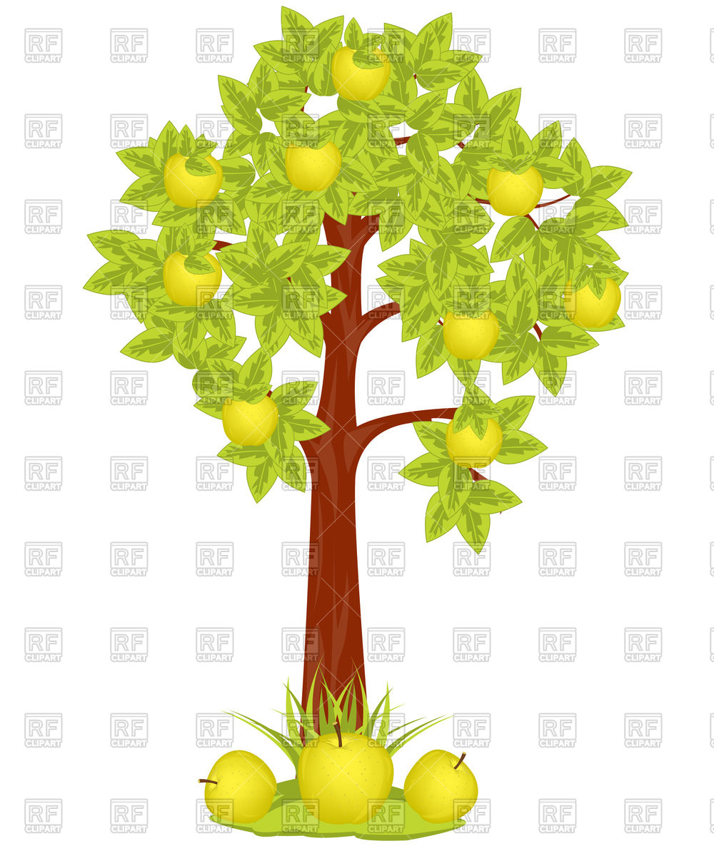 1000x1200 Apple Tree With Apples Vector Image Vector Artwork Of Plants And
