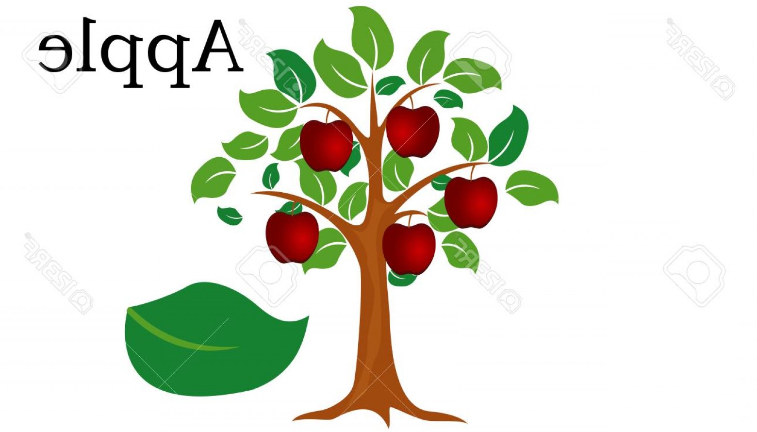 1560x890 Green Vector Apple Tree Arenawp