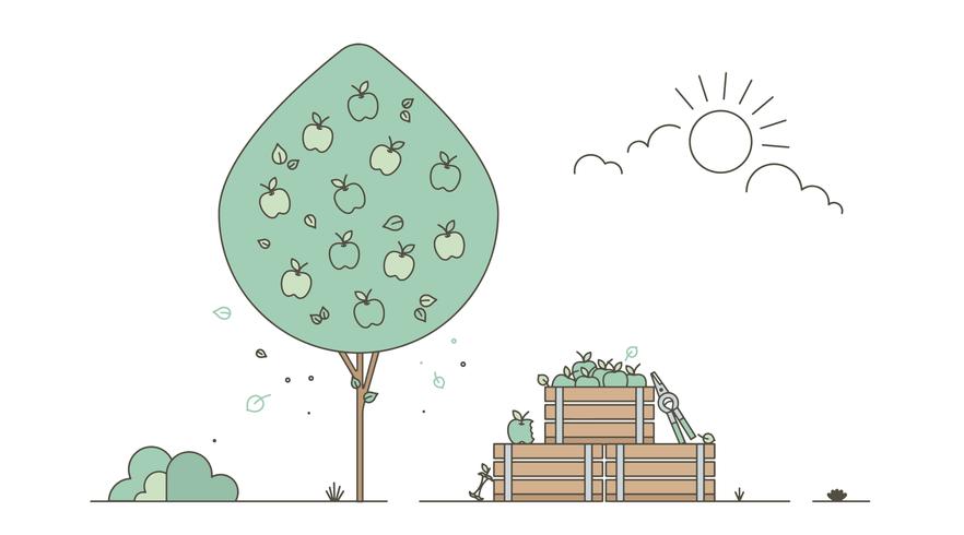 882x490 Apple Tree Free Vector Art