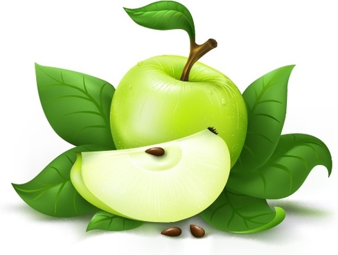 488x368 Green Apple Free Vector Download (7,633 Free Vector) For