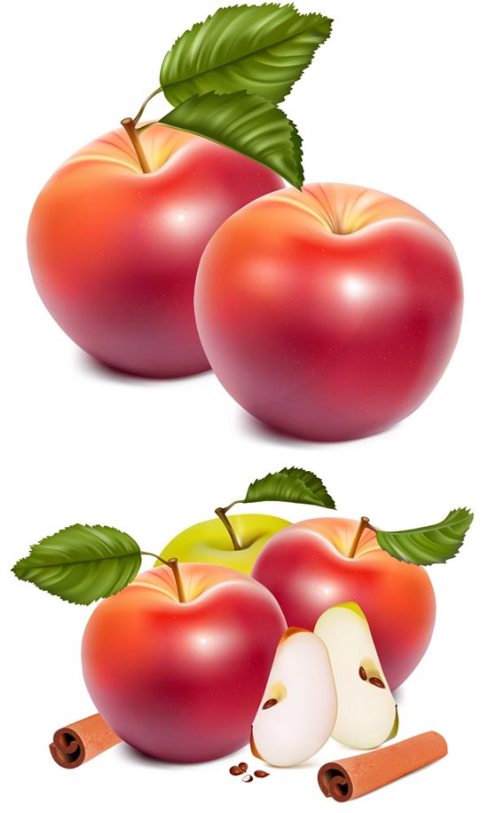 550x915 Realistic Apple Vector Design