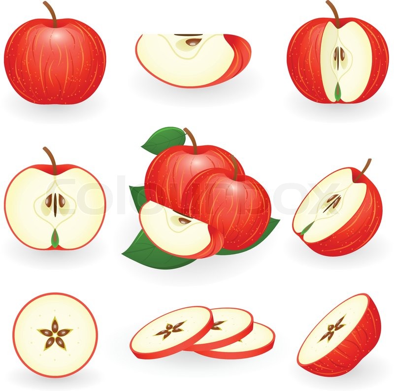 800x794 Vector Illustration Of Red Apple Stock Vector Colourbox
