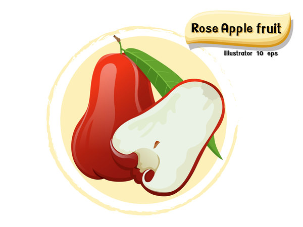 600x450 Rose Apple Fruit Illustration Vector Free Download