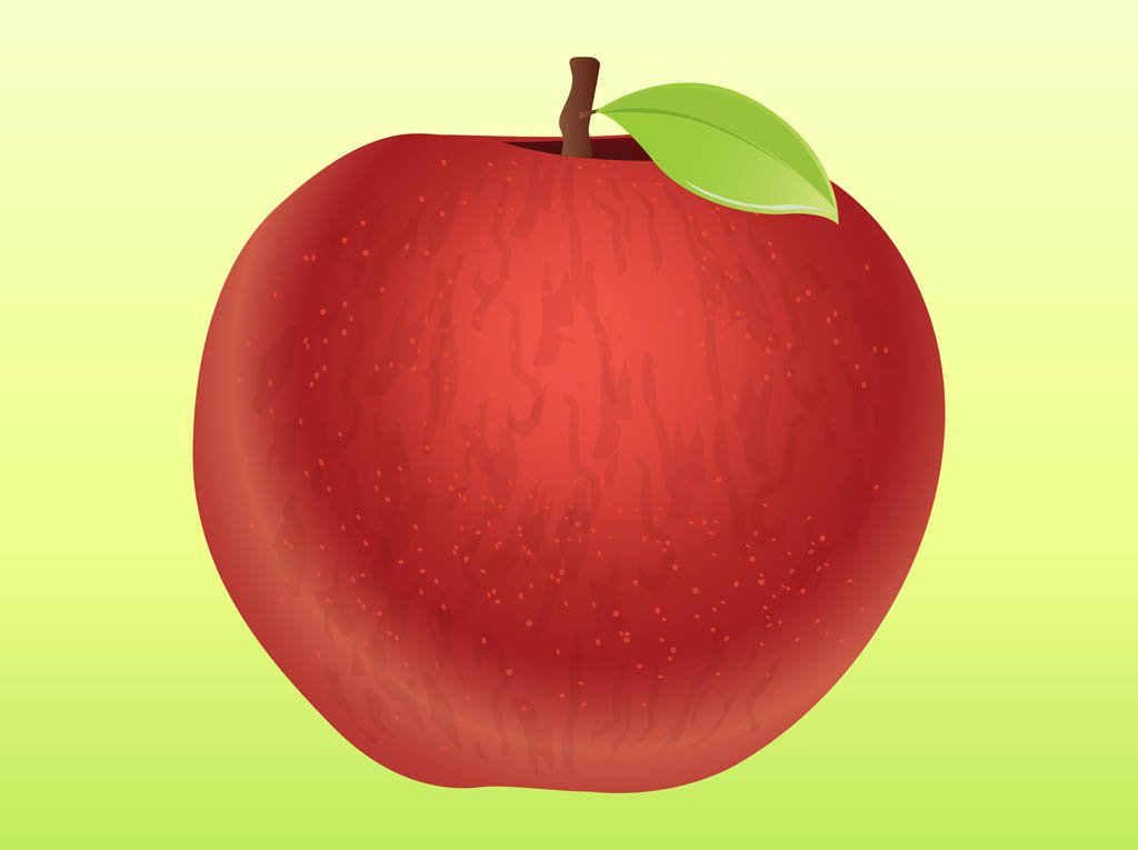1024x765 Apple Vector Vector Art Amp Graphics