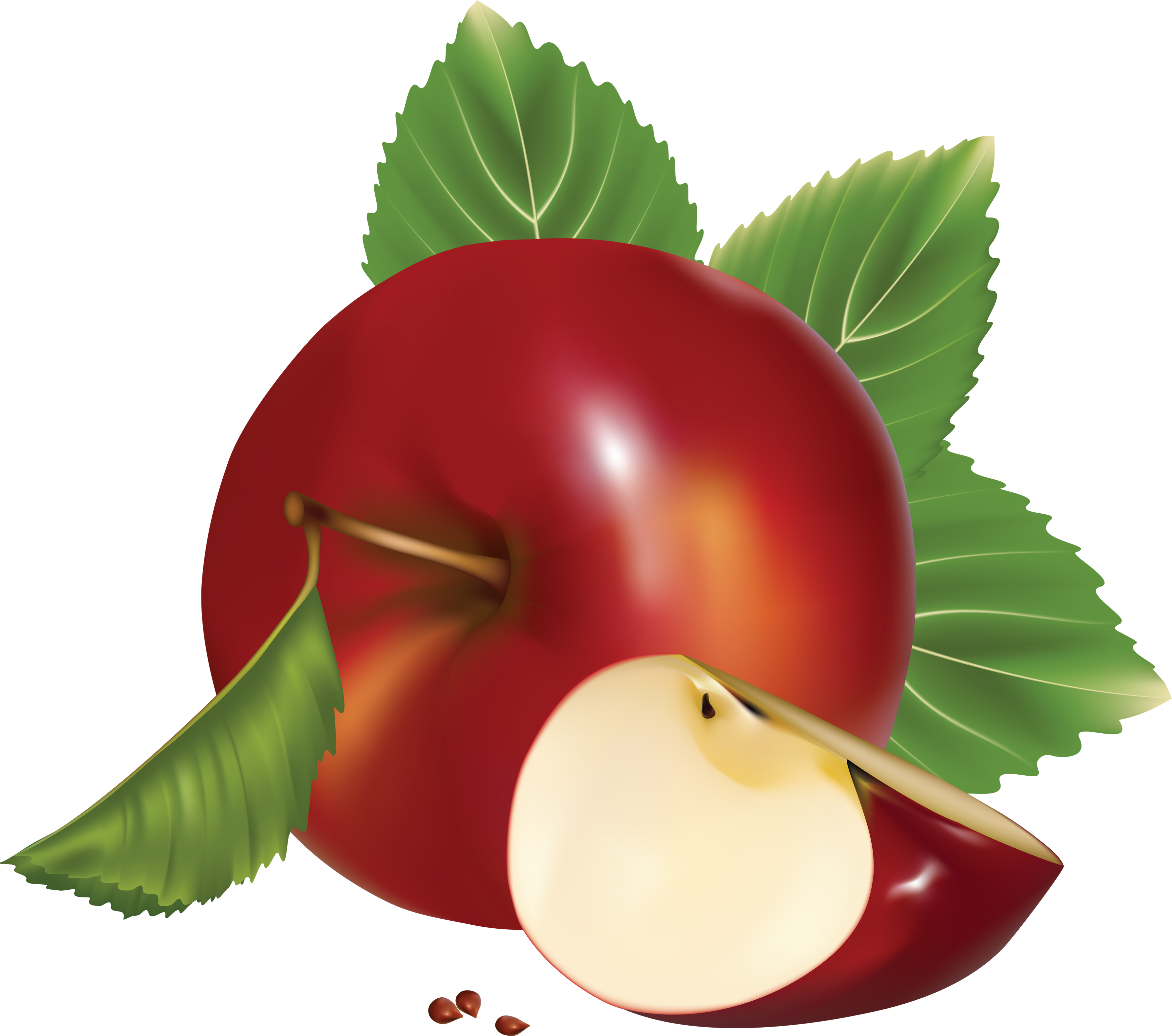 3485x3080 Collection Of Free Vector Fruit Apple. Download On Ubisafe