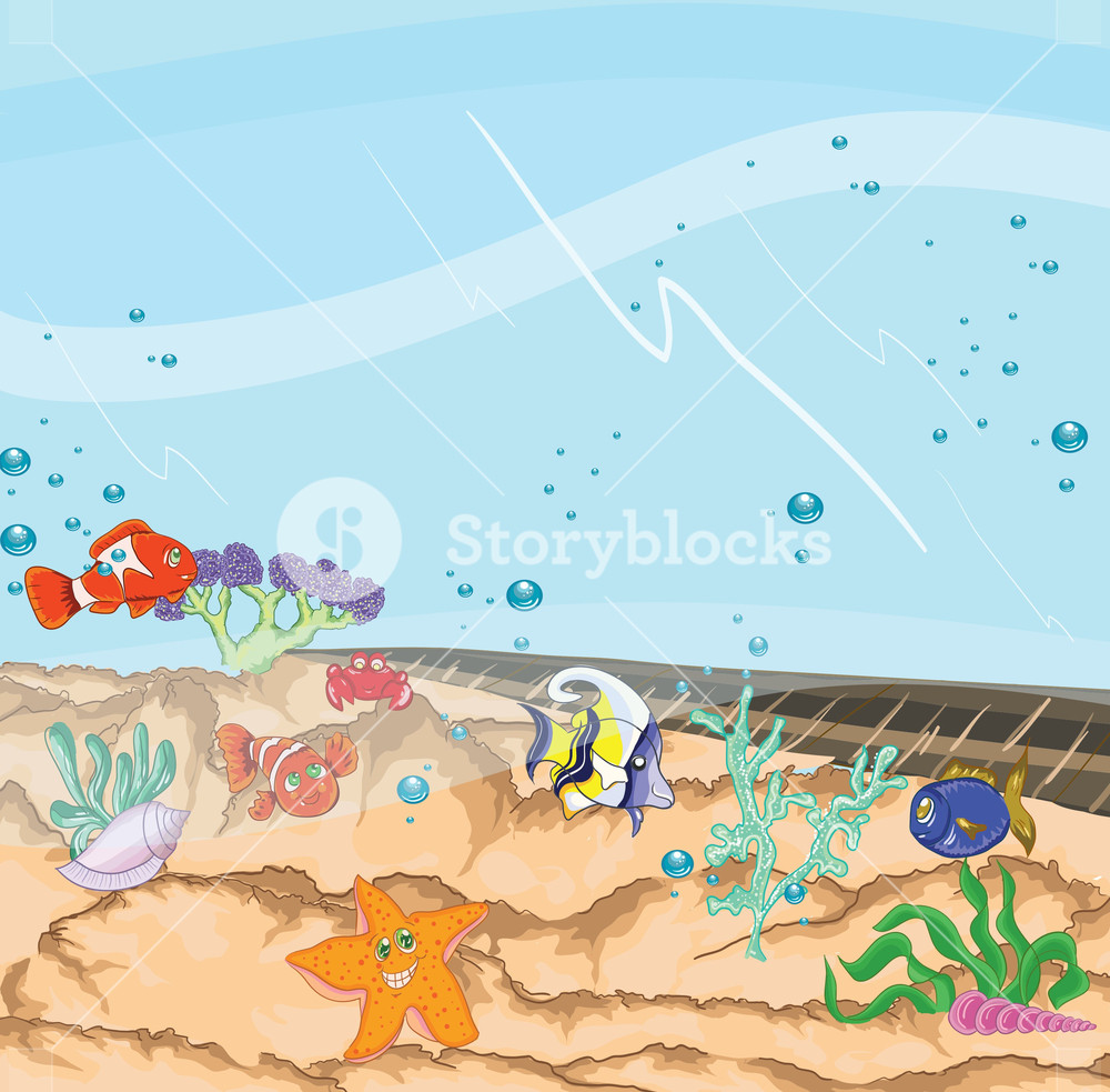 1000x983 Cartoon Aquarium Vector Illustration Royalty Free Stock Image